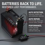 2 Amp (6v -12v) Vehicle Tractor ATV / UTV Battery Tender / Charger